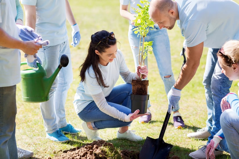 Group of people planting trees to support environmental sustainability.