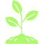Growth Icon