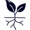 growth icon