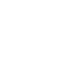 Enterprise Scale