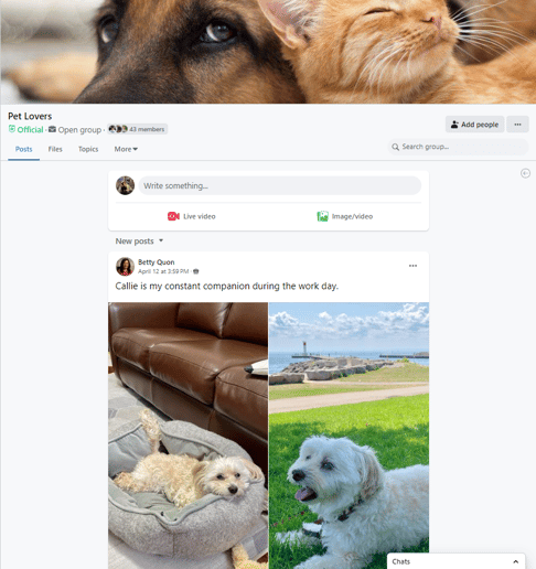 Screenshot of a Pet lovers Group in Workplace from Meta, fostering engagement and builsing a corporate culture that values personal expression