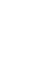the-fast-mode-logo-w